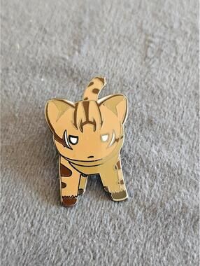 Pokemon Pin